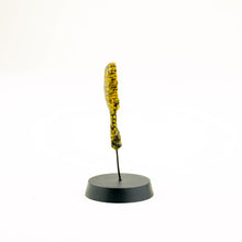 Load image into Gallery viewer, ECAF