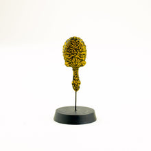 Load image into Gallery viewer, ECAF