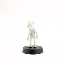 Load image into Gallery viewer, BARON OF THE BARONIES