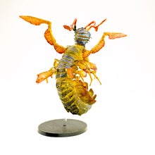 Load image into Gallery viewer, SHRIMP DRAGON