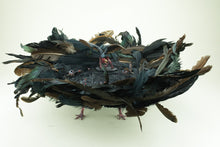 Load image into Gallery viewer, Vulture Dimension