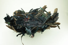 Load image into Gallery viewer, Vulture Dimension