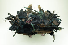 Load image into Gallery viewer, Vulture Dimension