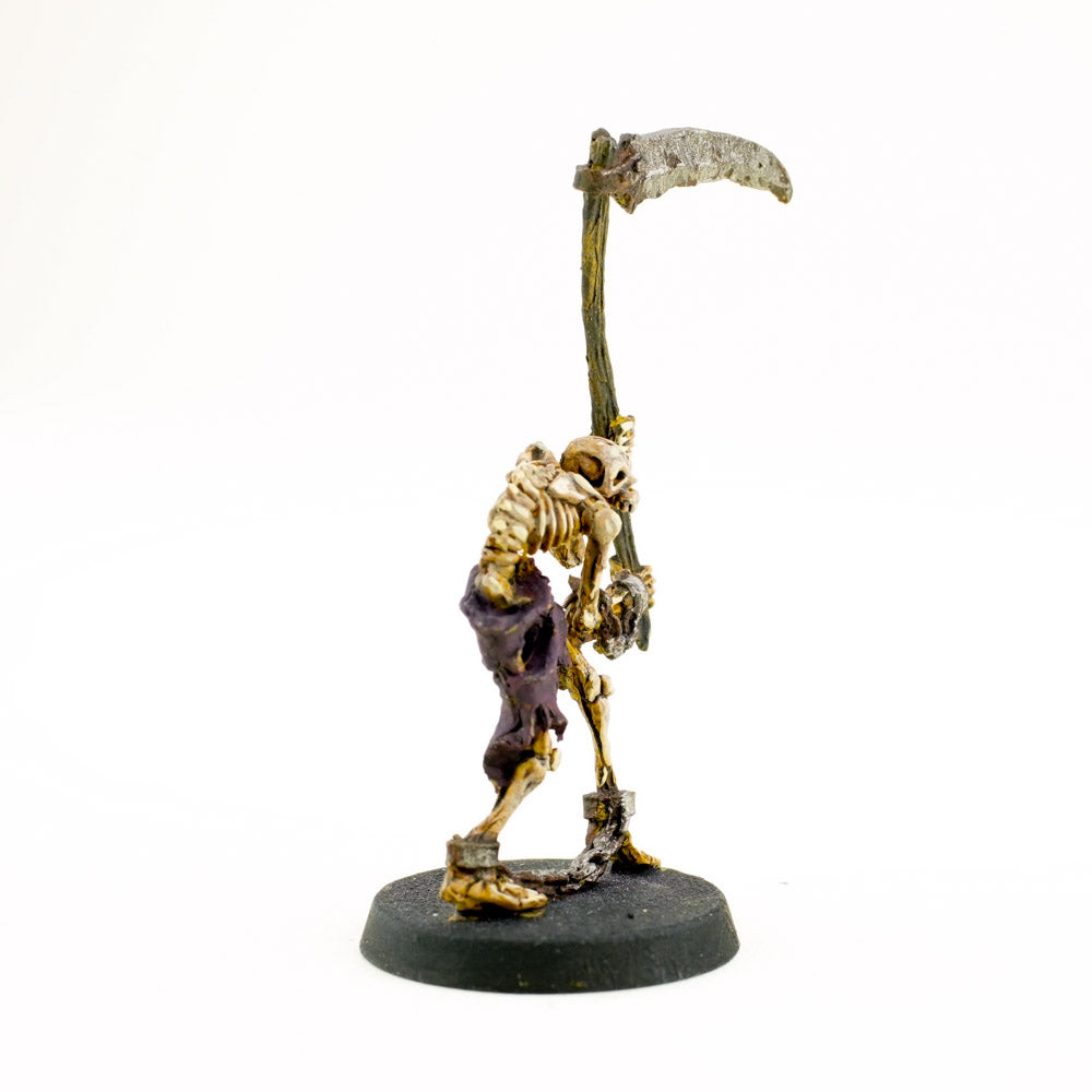 SKELETON 5